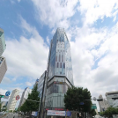 대표