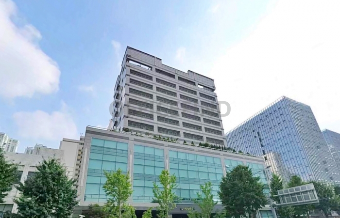 대표