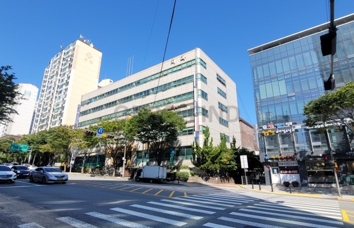 대표