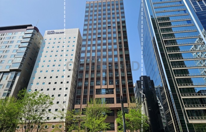 대표