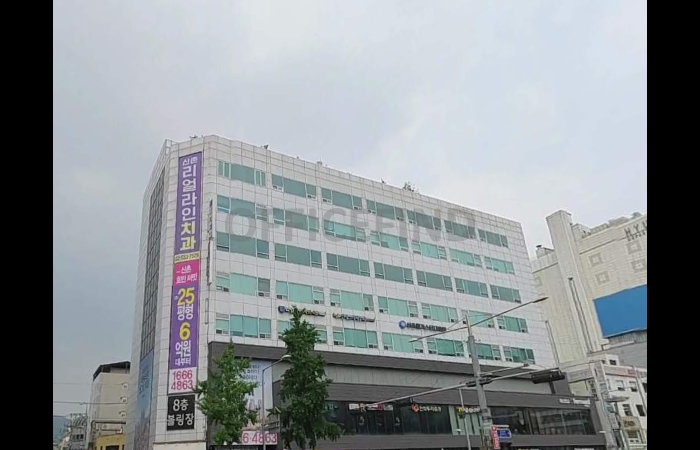 대표