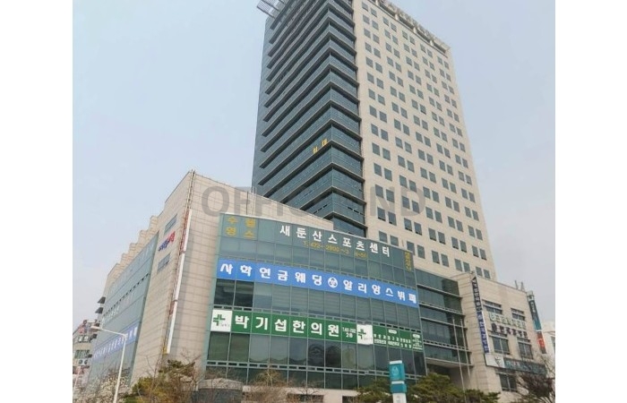 대표