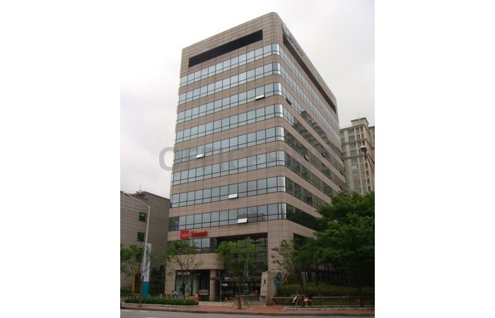 대표