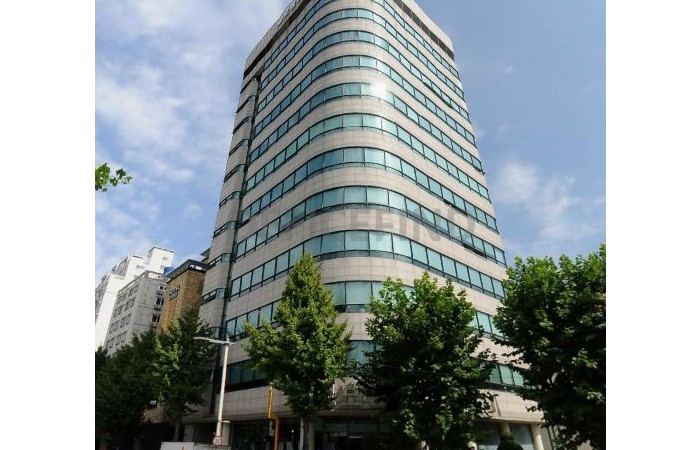 대표