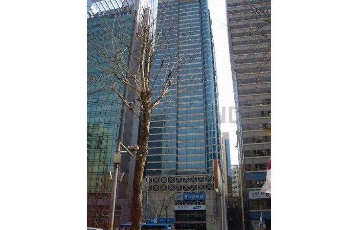 대표
