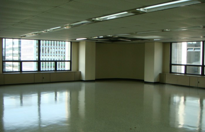 view