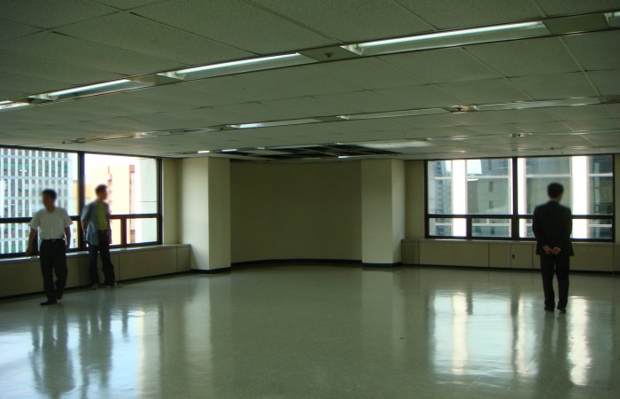 view