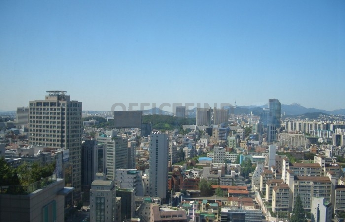 view