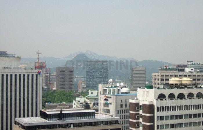 view
